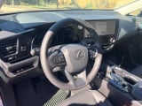 2025 Lexus NX - Preview 13