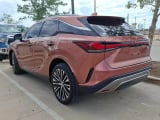 2024 Lexus RX - Preview 7