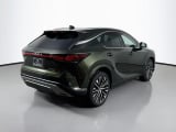 2026 Lexus RX - Preview 5