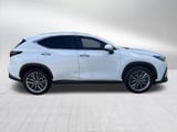 2026 Lexus NX - Preview 5