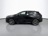 2026 Lexus NX - Preview 8