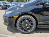 2026 Honda Odyssey - Preview 7