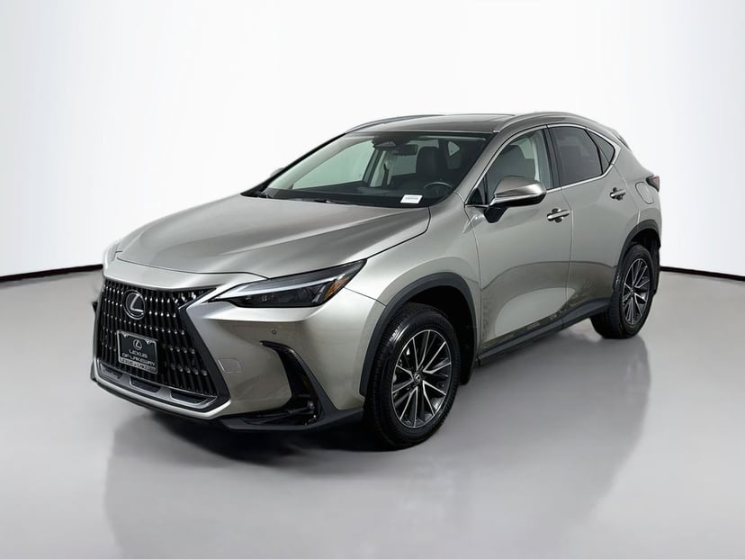 2024 Lexus NX - Image 1
