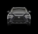 2026 Lexus NX - Preview 6
