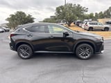 2024 Lexus NX - Preview 6