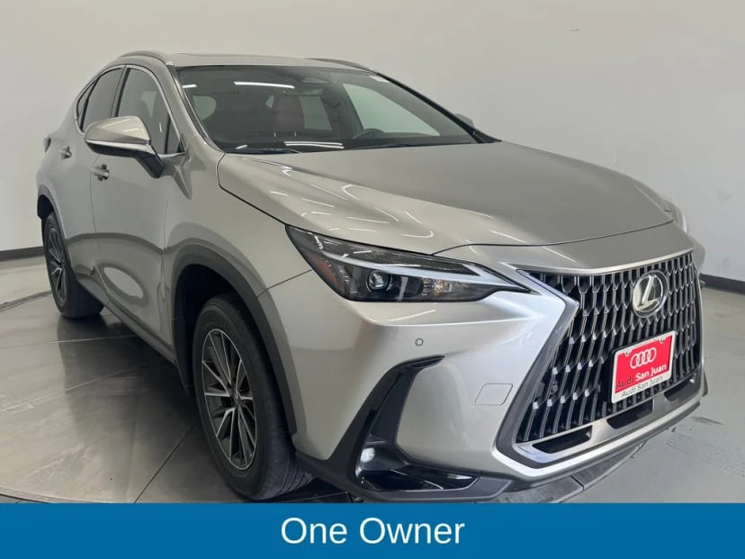 2025 Lexus NX - Image 1