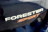 2019 Subaru Forester - Preview 13