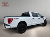 2021 Ford F-150 - Preview 6