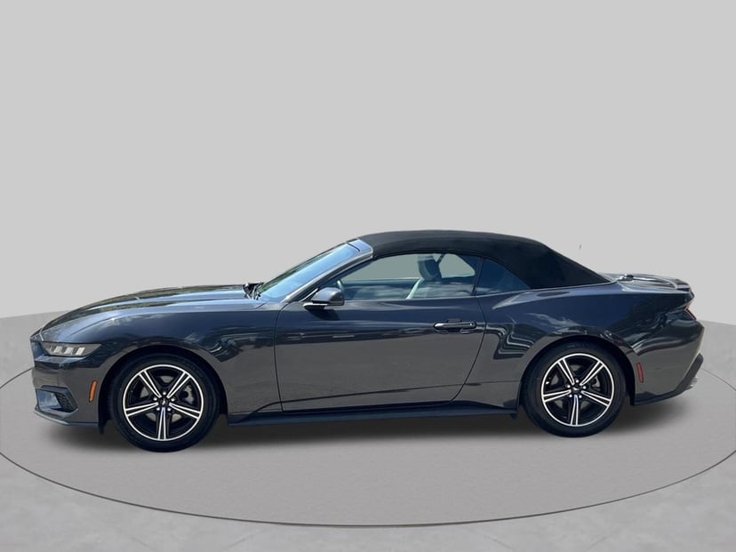 2024 Ford Mustang - Image 2
