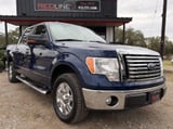 2010 Ford F-150 - Preview 2