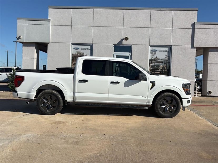 2025 Ford F-150 - Image 1