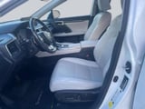 2021 Lexus RX - Preview 13