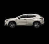 2026 Lexus NX - Preview 3