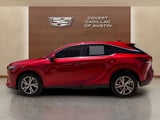 2024 Lexus RX - Preview 2