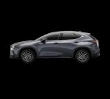 2026 Lexus NX - Preview 3
