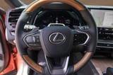 2025 Lexus RX - Preview 12