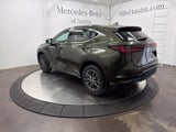 2022 Lexus NX - Preview 5