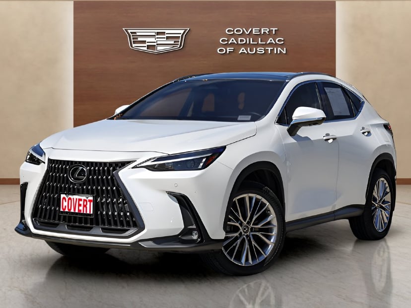 2022 Lexus NX - Image 1