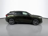 2026 Lexus RX - Preview 4