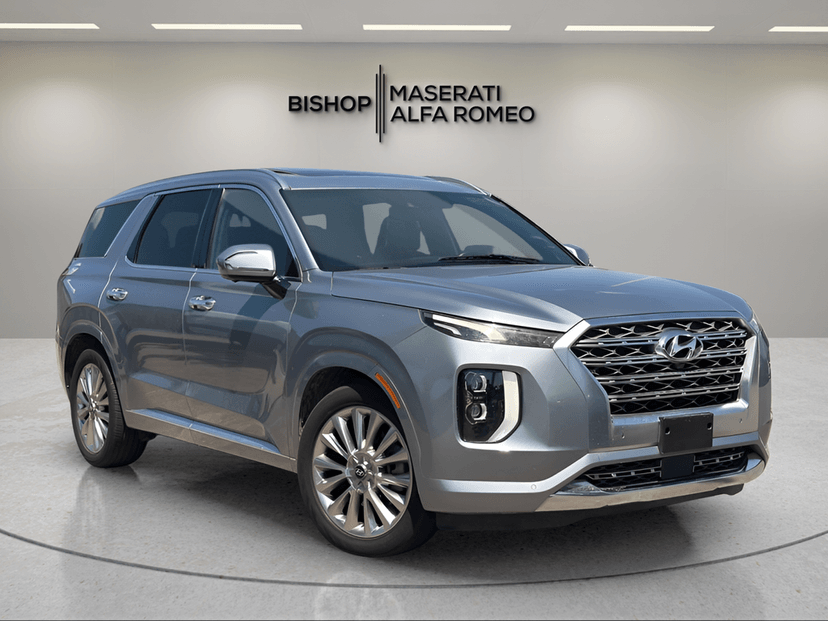 2020 Hyundai Palisade - Image 1