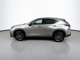 2025 Lexus NX - Preview 8