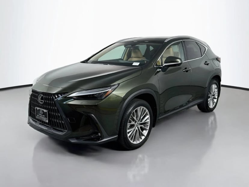 2025 Lexus NX - Image 1