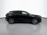 2026 Lexus RX - Preview 4