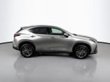 2025 Lexus NX - Preview 4