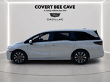 2025 Honda Odyssey - Preview 5