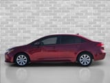 2022 Toyota Corolla - Preview 7