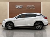 2020 Lexus RX - Preview 2