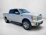 2010 Ford F-150 - Preview 3