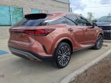 2024 Lexus RX - Preview 5