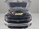 2024 Ford F-150 - Preview 9