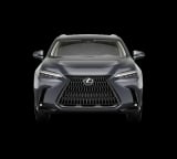 2026 Lexus NX - Preview 6