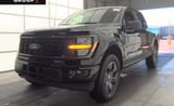 2025 Ford F-150 - Preview 2