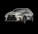 2026 Lexus NX - Preview 2