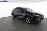 2022 Lexus NX - Preview 2