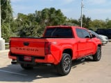 2024 Toyota Tacoma - Preview 2