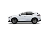 2026 Lexus NX - Preview 2