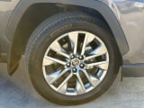 2025 Toyota RAV4 - Preview 2