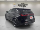 2025 Lexus NX - Preview 3