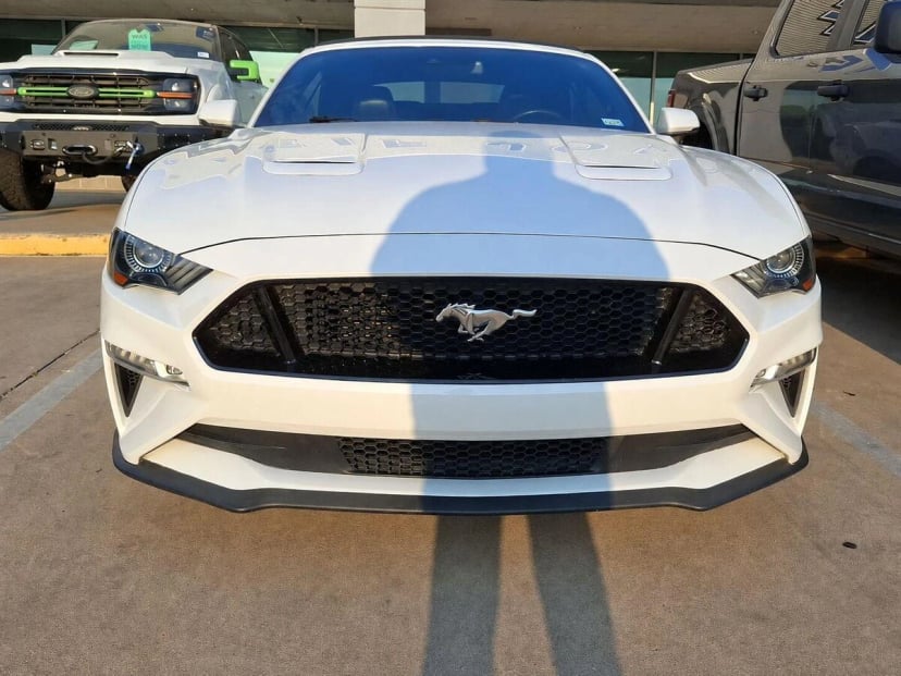 2019 Ford Mustang - Image 2