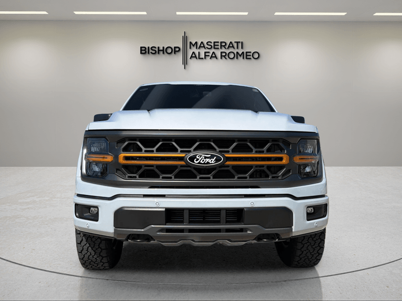2025 Ford F-150 - Image 1