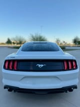2019 Ford Mustang - Preview 8