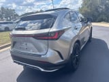 2023 Lexus NX - Preview 5