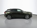 2026 Lexus RX - Preview 4