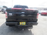 2013 Ford F-150 - Preview 6