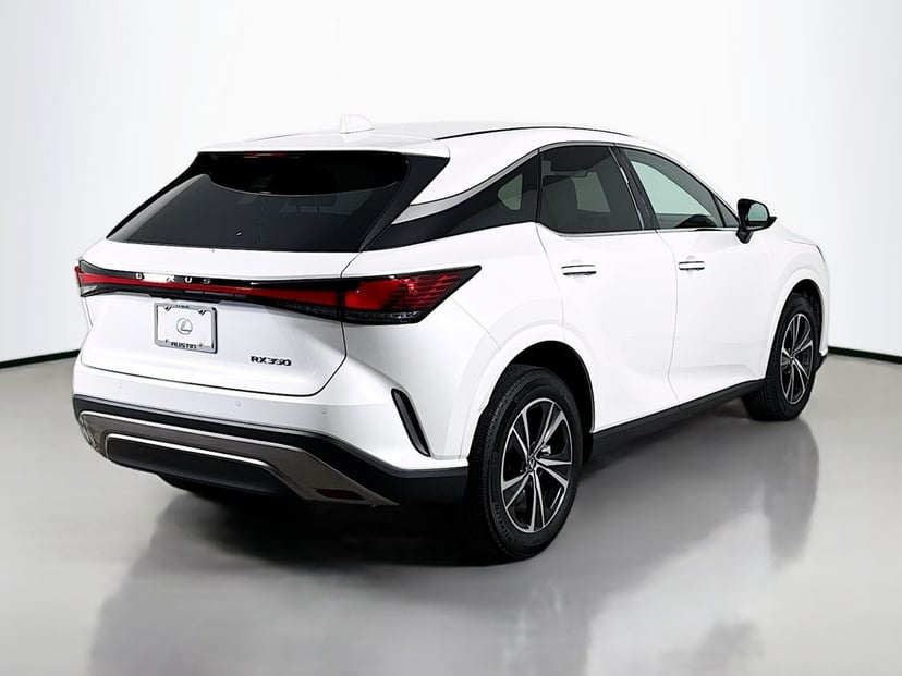 2025 Lexus RX - Image 3