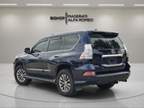 2017 Lexus GX - Preview 3